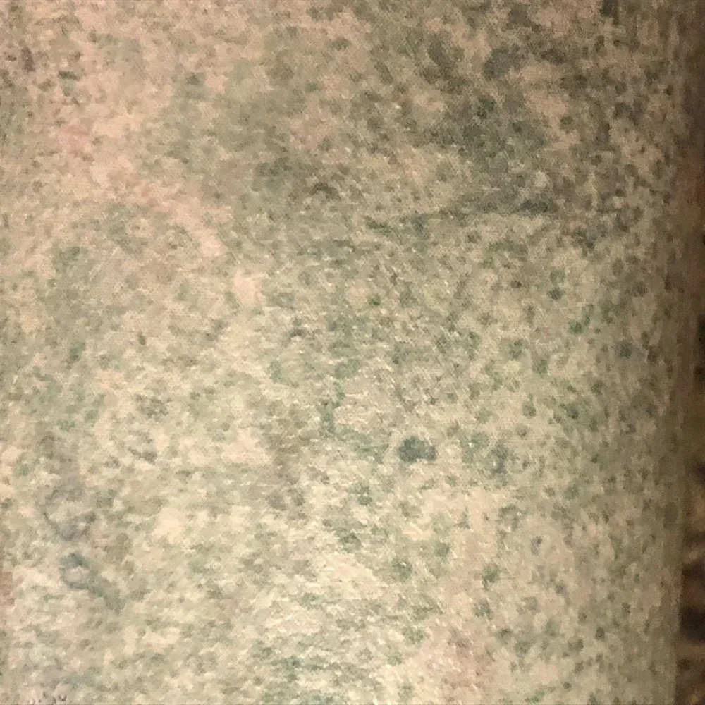 Vintage International Wallcoverings Wallpaper NEW 2 Bolts Green Cream Slight Gra